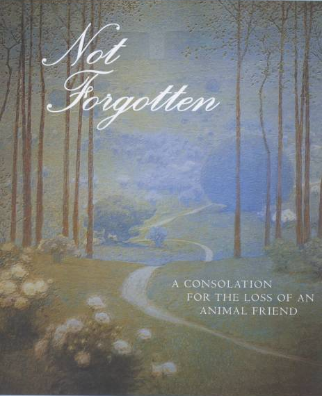 Not Forgotten book cover